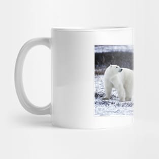 Polar Bears Mug